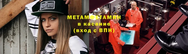 прущие грибы Лабытнанги