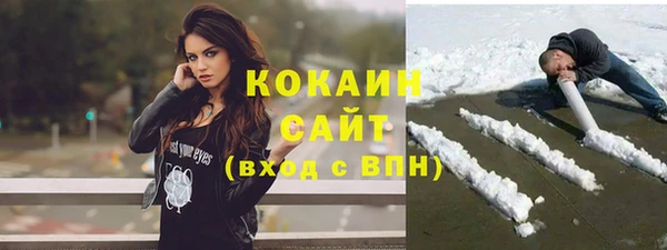 прущие грибы Майский