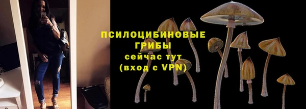 МДМА Лагань