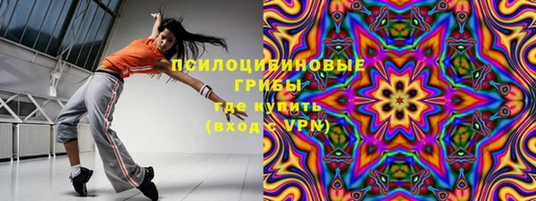 прущие грибы Лабытнанги