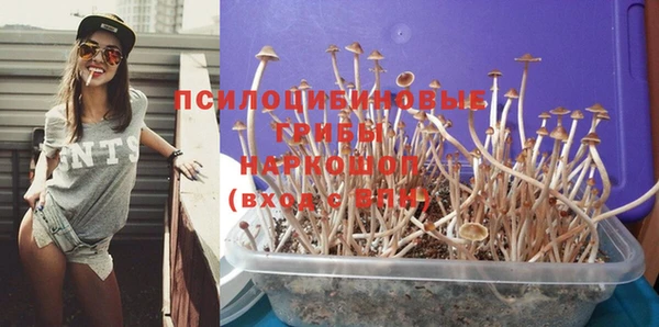 спиды Порхов