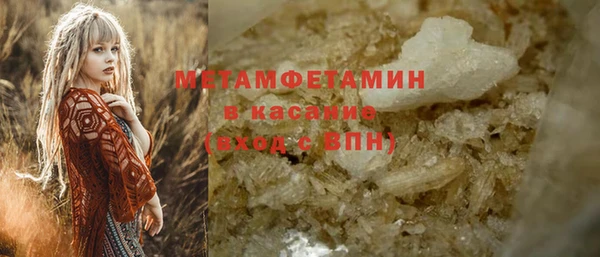 прущие грибы Майский