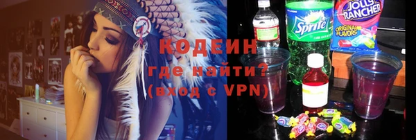 прущие грибы Лабытнанги