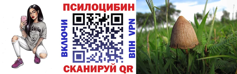 Галлюциногенные грибы Cubensis  Строитель 