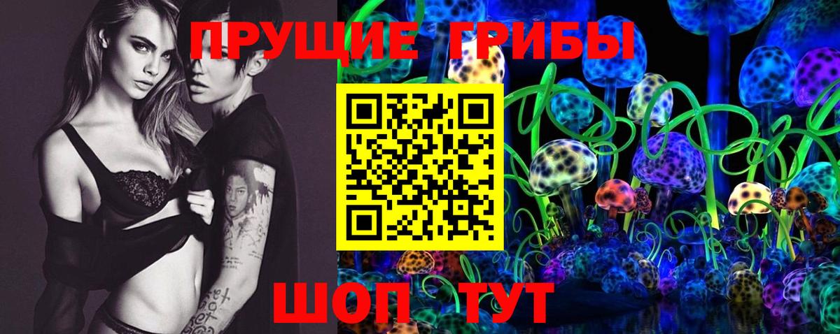 купить  цена  Строитель  Псилоцибиновые грибы Cubensis  Псилоцибиновые грибы Cubensis 