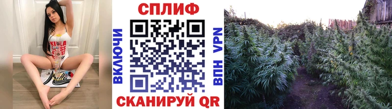 Бошки Шишки ГИДРОПОН  Строитель 